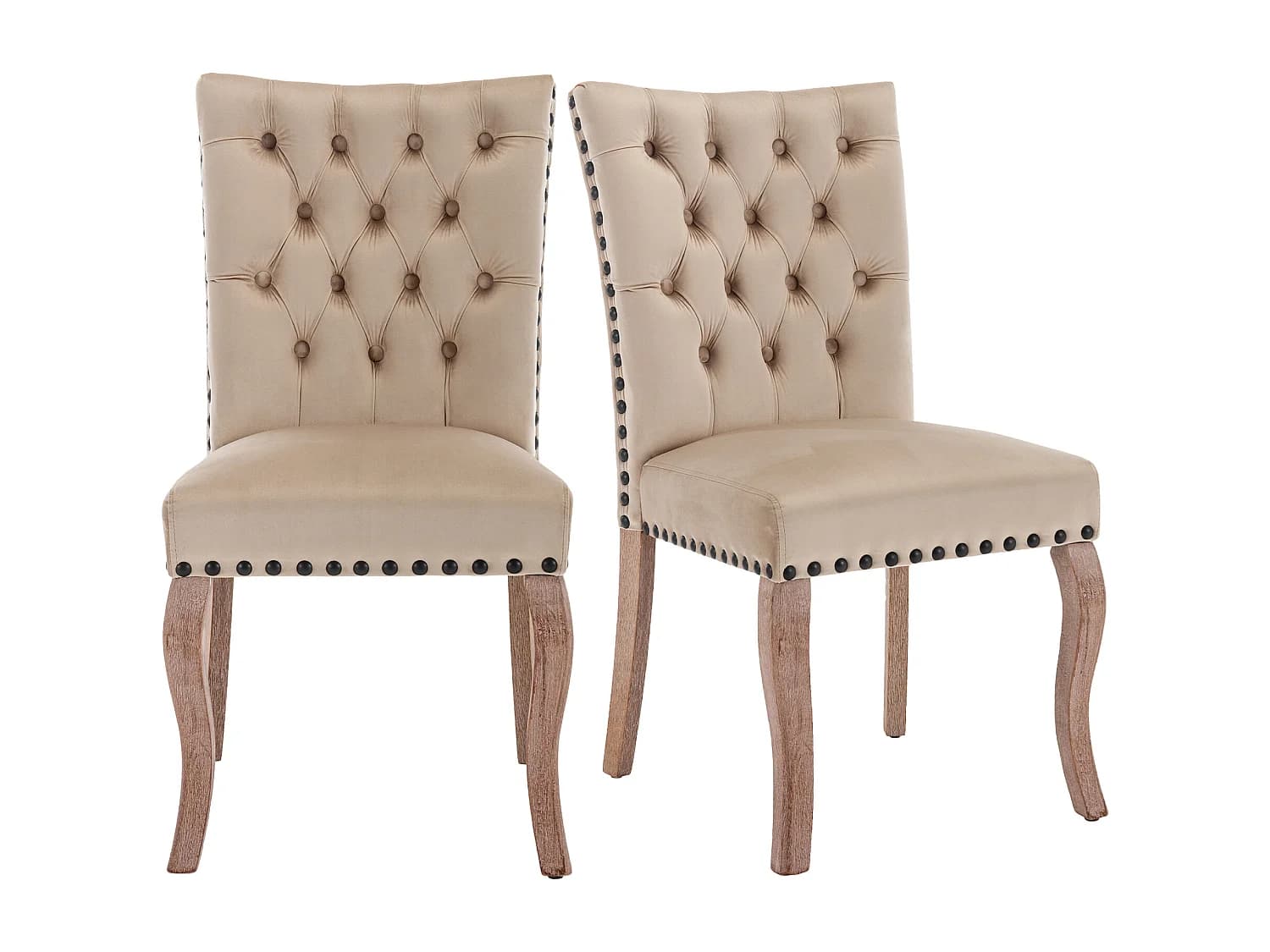 Lot de 2 chaises en velours Camel clair avec pieds en bois courbés, rivets noirs