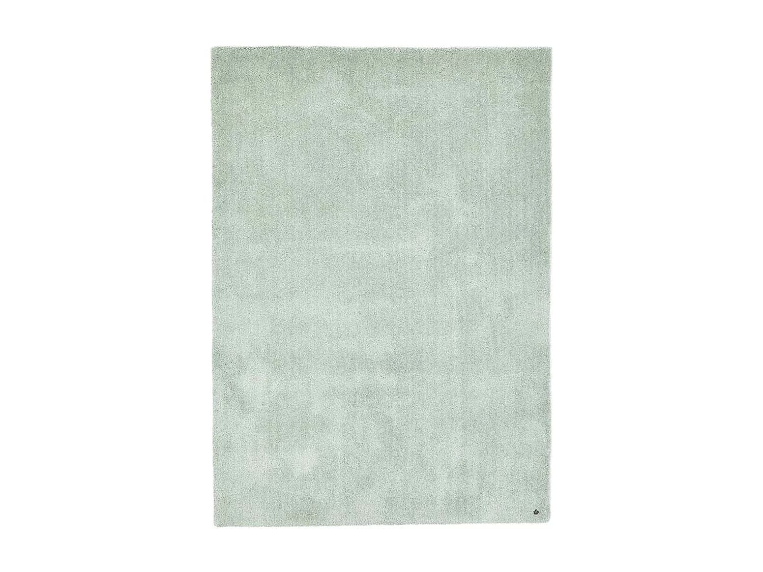 Tapis Shaggy tufté à la main 160x230 cm menthe Cozy